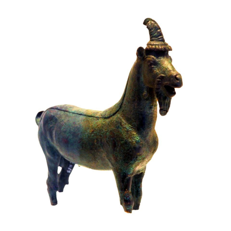 Goat-MAHG C 1165-P6130566-white