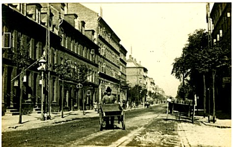 Godthåbsvej (c 1899)