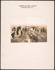 Facing the scars of war LCCN2016649190