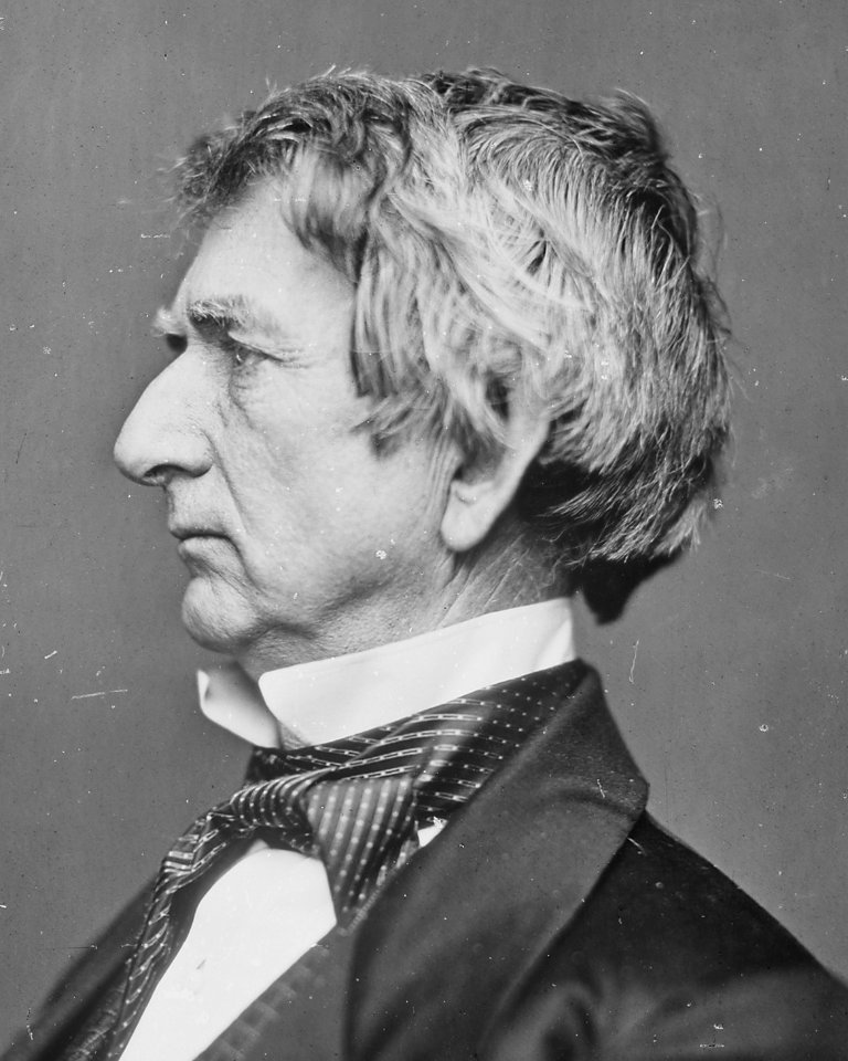 Face detail, from- Hon. William H. Seward, N.Y. Secretary of State - NARA - 528347 (cropped)