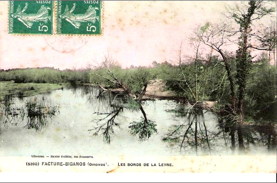 Facture - les bords de la Leyre