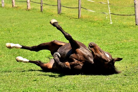 Play rolling meadow