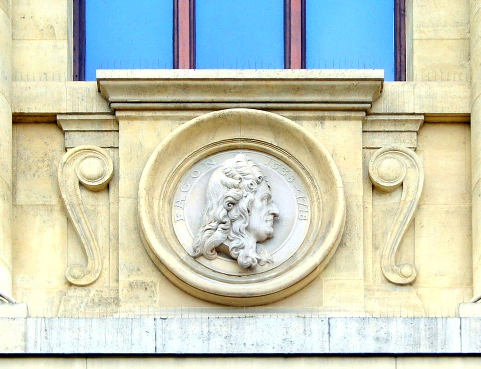 Fagon 2 médaillon galerie évolution MNHN