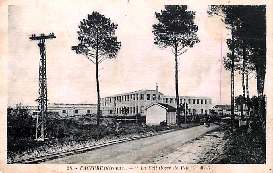 Facture - la Cellolose du Pin 1