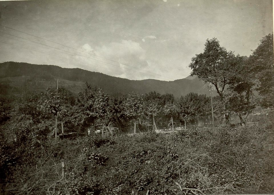 Fahrende Munitionskolonne bei Kötschach.Aufegn.22.IX.1915. (BildID 15460293)