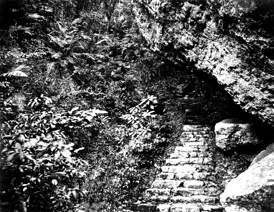Fairy-Dell, directly under Yuen-Foo Monastery
