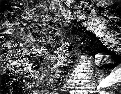 Fairy-Dell, directly under Yuen-Foo Monastery