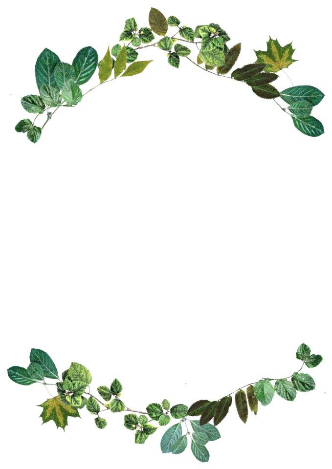 Frame design foliage
