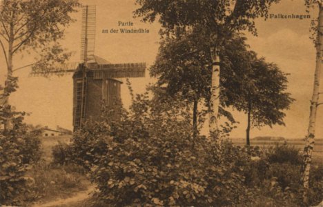 Falkenhagen, Brandenburg - Windmühle (Zeno Ansichtskarten)