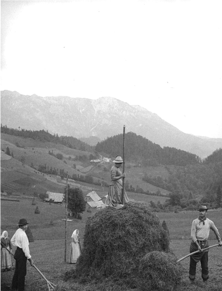 Falkenstein im oberen Mürztal, beim Heuhiefeln, um 1912