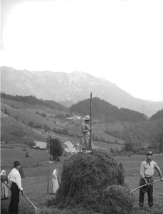 Falkenstein im oberen Mürztal, beim Heuhiefeln, um 1912