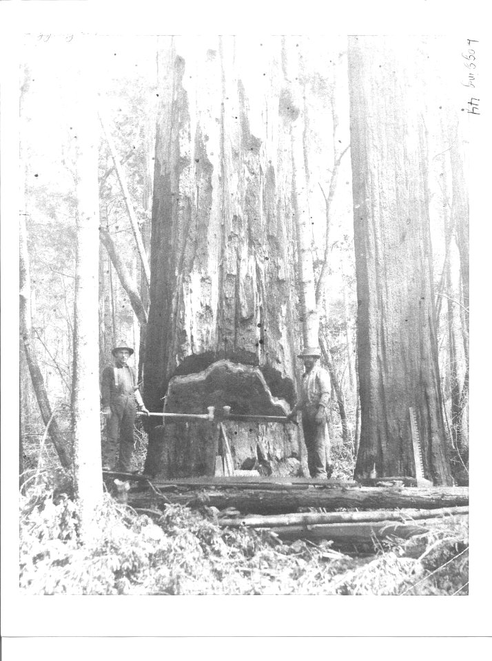 Falling on the Gualala River (Sonoma County) California, Steve Tisconi and Bill Brain, 1900