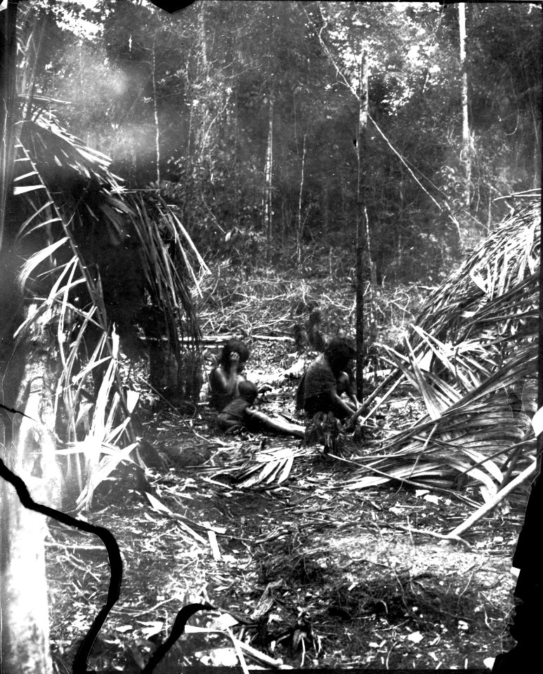 Familjeliv vid hyddorna. Mellan Rio Inambari och Rio Tambopata. Madre de Dios. Peru - SMVK - 002516