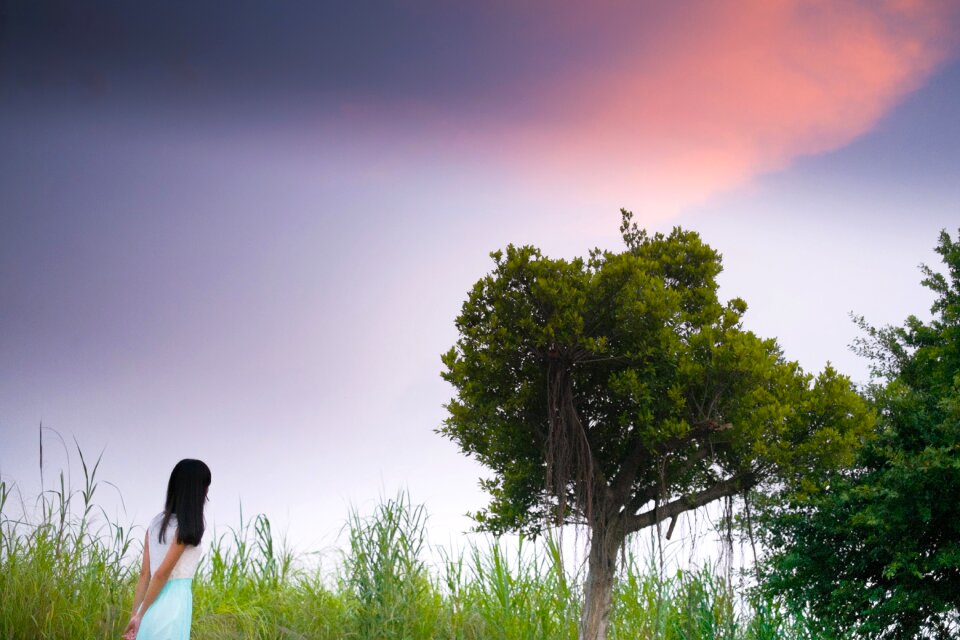 Big trees sky people