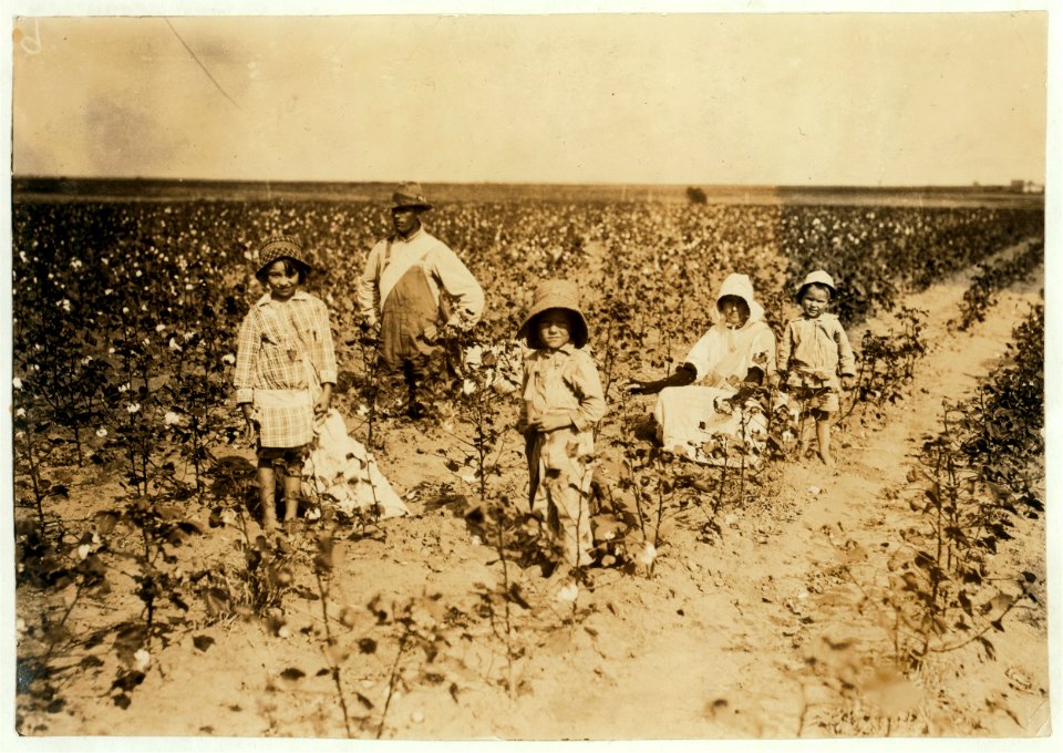 Family of C.J. Walker, Route 2, Box 78, Geronimo, Oklahoma. 6-year old Jewel and 5-year old Harold picks 20 to 25 pounds of cotton a day. Father said- 'I promised em a little wagon if they'd LOC nclc.00599