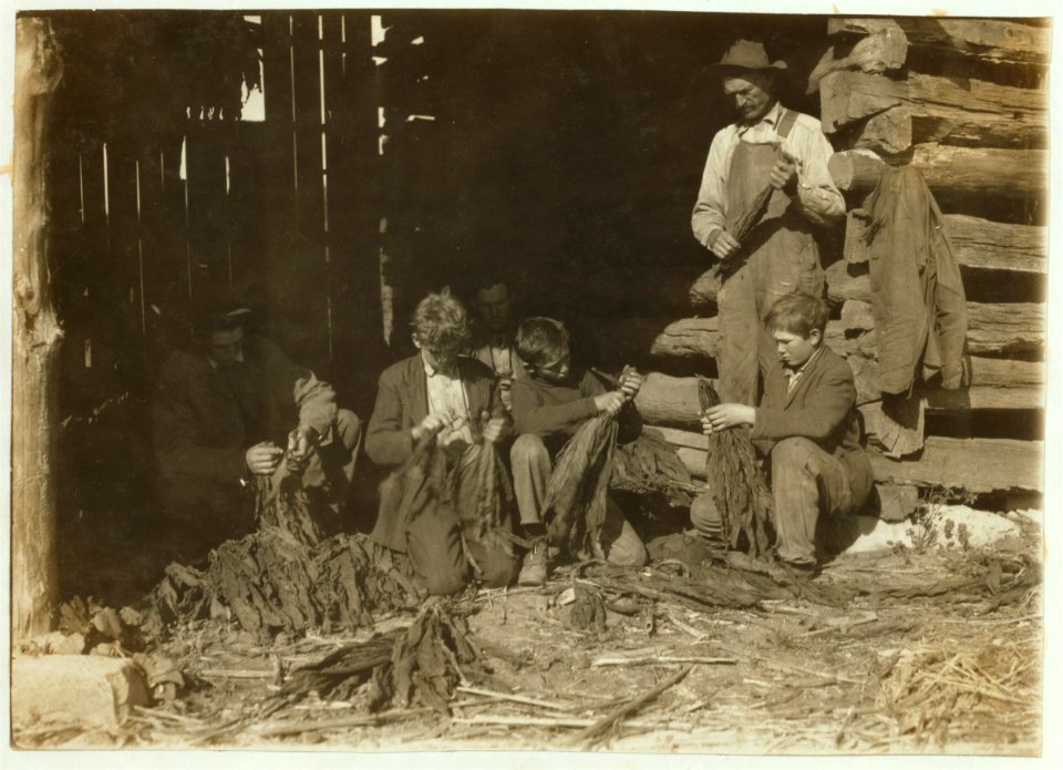 Family of J.H. Burch, Route 1, Rockfield, Ky. Boys 12, 14 and 17 (stripping tobacco) working during school hours. Have been out a good deal. Go to Quarry School (6-12). Two families LOC nclc.00657