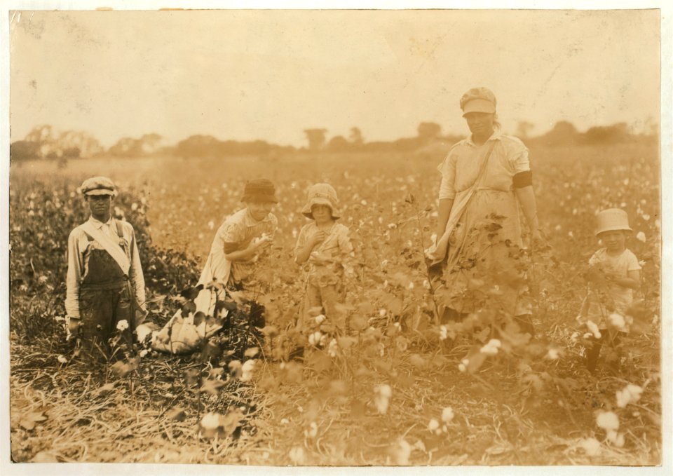 Family of W.T. Frakes, Route 5, Lawton, Okla. Mother said 6-year old Warren picked 41 pounds of cotton yesterday 'An I don't make him pick; he picked last year.' Had about 20 pounds in his LOC nclc.00610