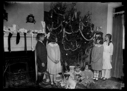 Family group with Christmas tree LCCN2016887036 photo