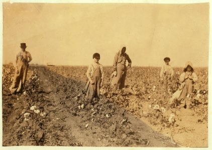 Family of J. M. Payne, Route 1, Lawton, Okla. Mrs. Payne and four children picking cotton. Mart, 5 years, picks from 10 to 20 pounds a day (average) Harley, 7 years, picks 40 pounds a day LOC nclc.00595