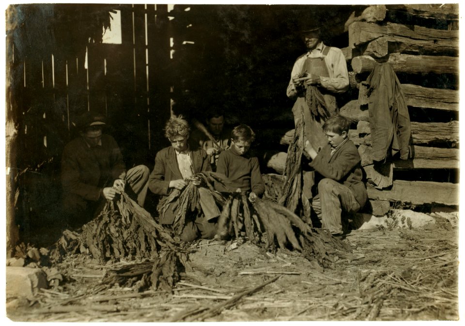 Family of J.H. Burch, Route 1, Rockfield, Ky. Boys 12, 14 and 17 (stripping tobacco) working during school hours. Have been out a good deal. Go to Quarry School (6-12). Two families LOC cph.3a17769