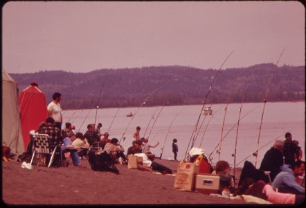 Family-style-fishing-on-banks-of-the-columbia-river-041973 4271659729 o