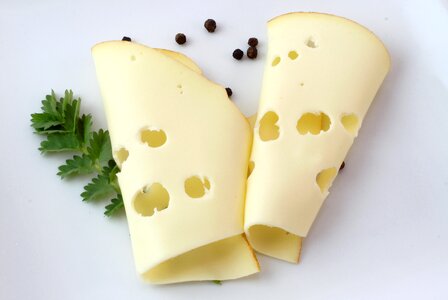 Cheese food piece