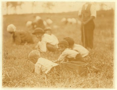 Fank Denato, 6 years old; Tom Denato, 4 years old; Domino Denato, 12 years old. 902 Montrose St., Philadelphia, and Padrone. White's Bog, Browns Mills, N.J. This is the fourth week of school LOC nclc.00051