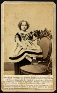 Fannie Virginia Casseopia Lawrence - Kellogg Brothers, photographers, 279 Main St., Hartford, Conn. LCCN2010647909