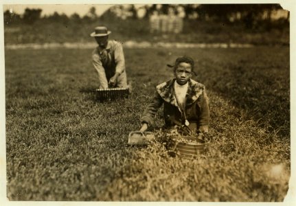 Fanny Breto. Said 9 years old. Was picking with her father on a private bog near Bang's bog. LOC cph.3a38589