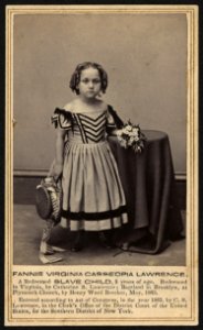 Fannie Virginia Casseopia Lawrence - Kellogg Brothers, photographers, 279 Main St., Hartford, Conn. LCCN2010647908