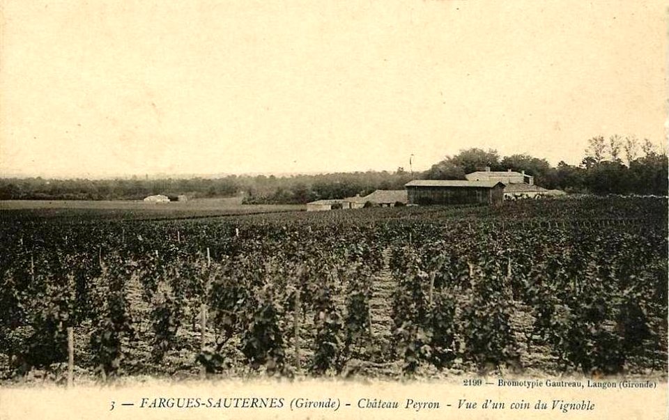 Fargues (Gironde) - château Peyron 1