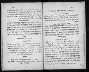 Farhi Haggadah 736748 0016