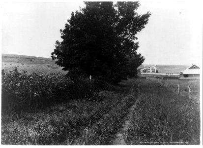Farm near Arion, Boyer Valley, Iowa LCCN97502073