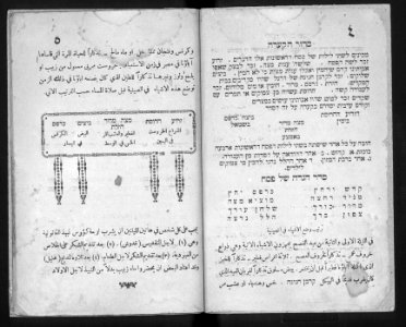 Farhi Haggadah 736735 0003