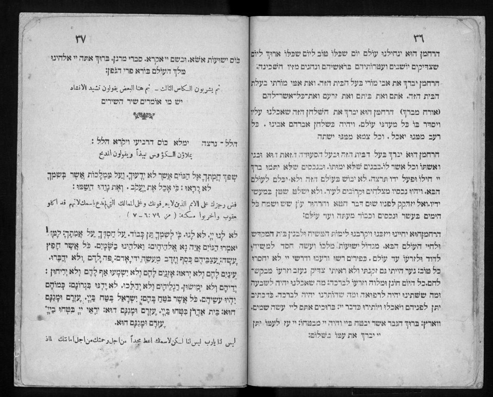 Farhi Haggadah 736751 0019