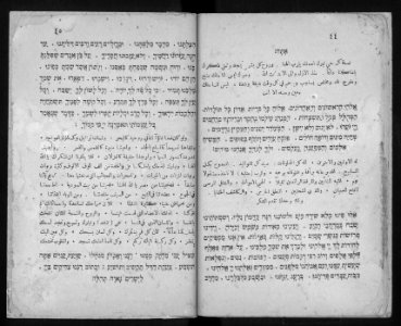 Farhi Haggadah 736755 0023