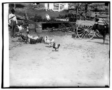 Farm yard scene LCCN2016828726