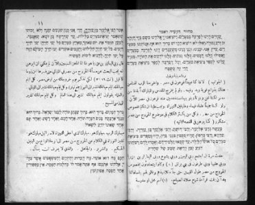 Farhi Haggadah 736738 0006