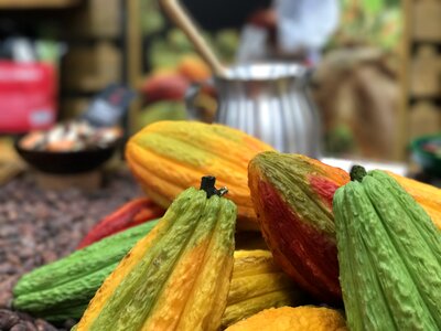Natural organic ingredient