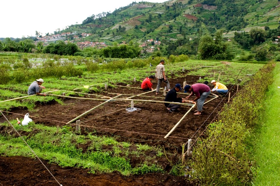 Farmers at demo plot, Lembang, Bandung (5281935654)