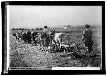 Farmers at work in the northern Caucasus LCCN2016822054