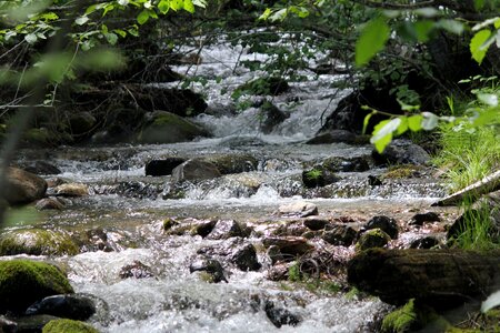 Mountain stream flowing stream scenery