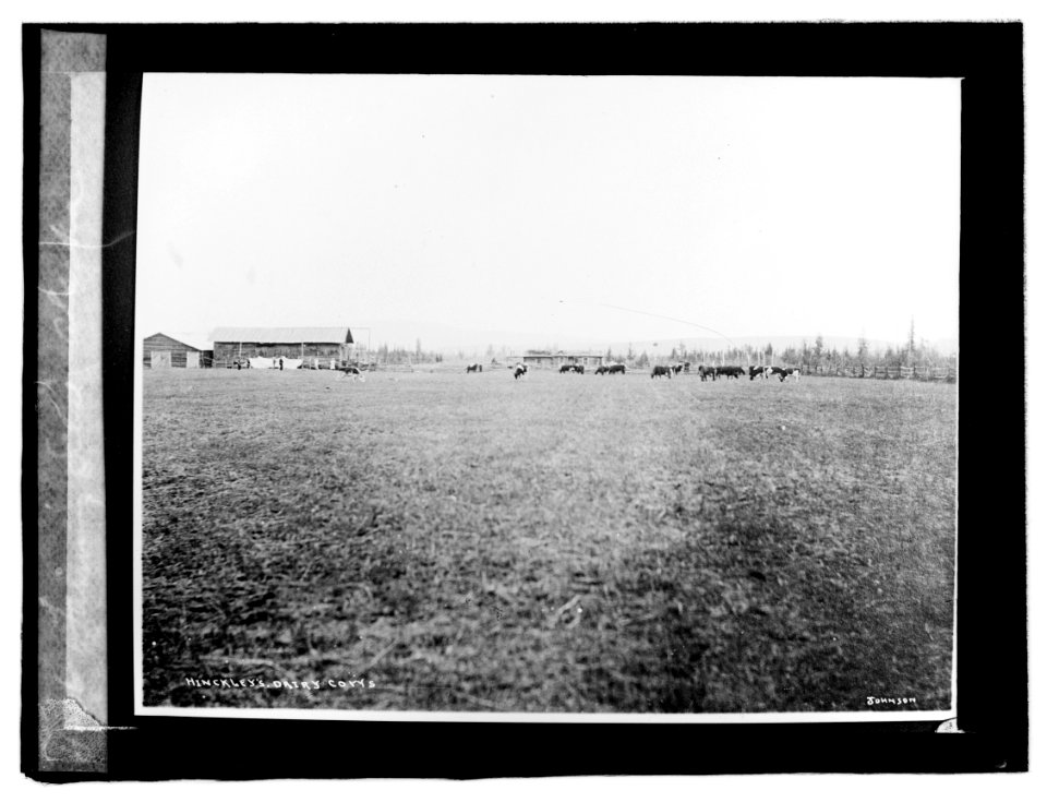 Farming Scene, Alaska LCCN2016819541