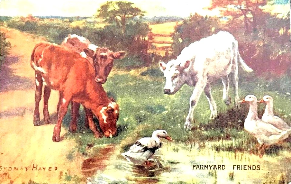 Farmyard friends by Sydney Hayes