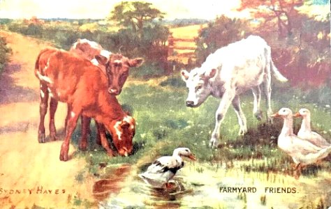 Farmyard friends by Sydney Hayes