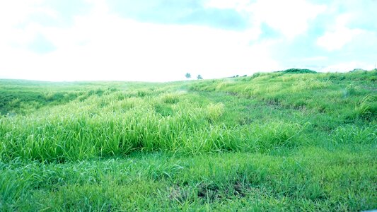 Grassland blue sky photo