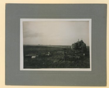 Farming by the Mance Farming Company of Viking, Alberta, Photo M (HS85-10-27444) original