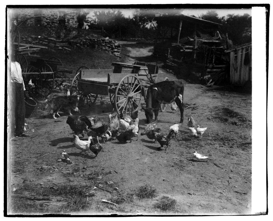 Farmyard LCCN2016828879