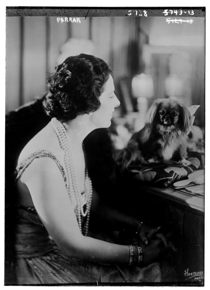 Farrar (with pet dog) LCCN2014714454