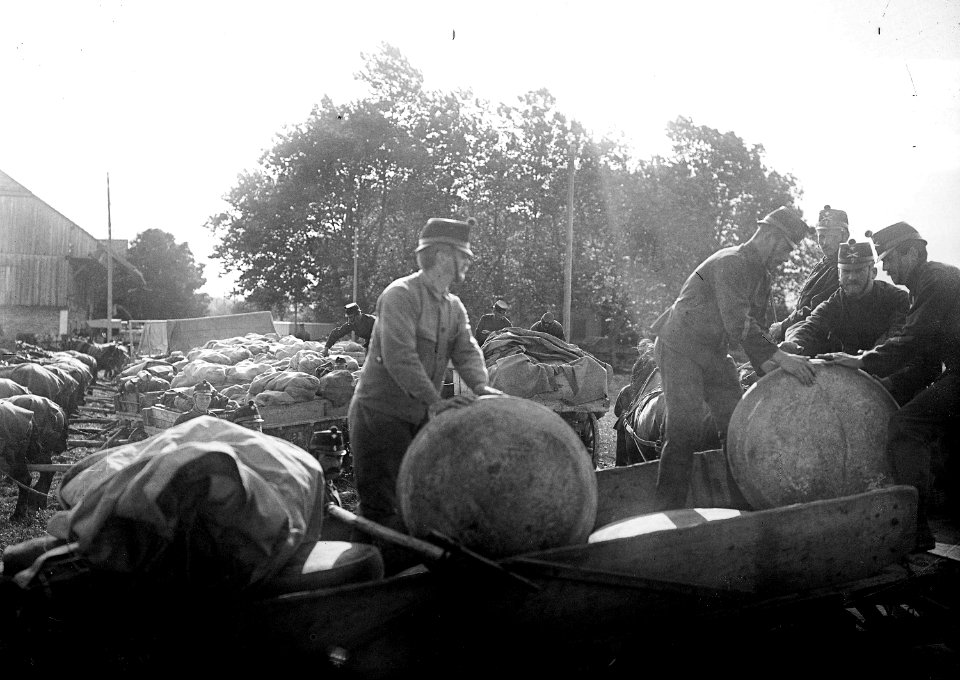 Fassung von Käse - CH-BAR - 3237516